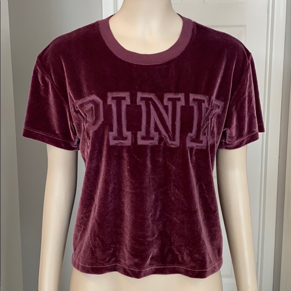 NWOT PINK short sleeve velvet crop - Picture 1 of 5